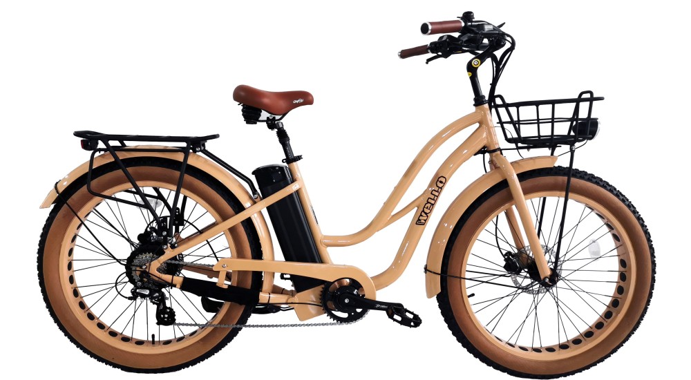 Nos fat bikes électriques d'occasion en stock