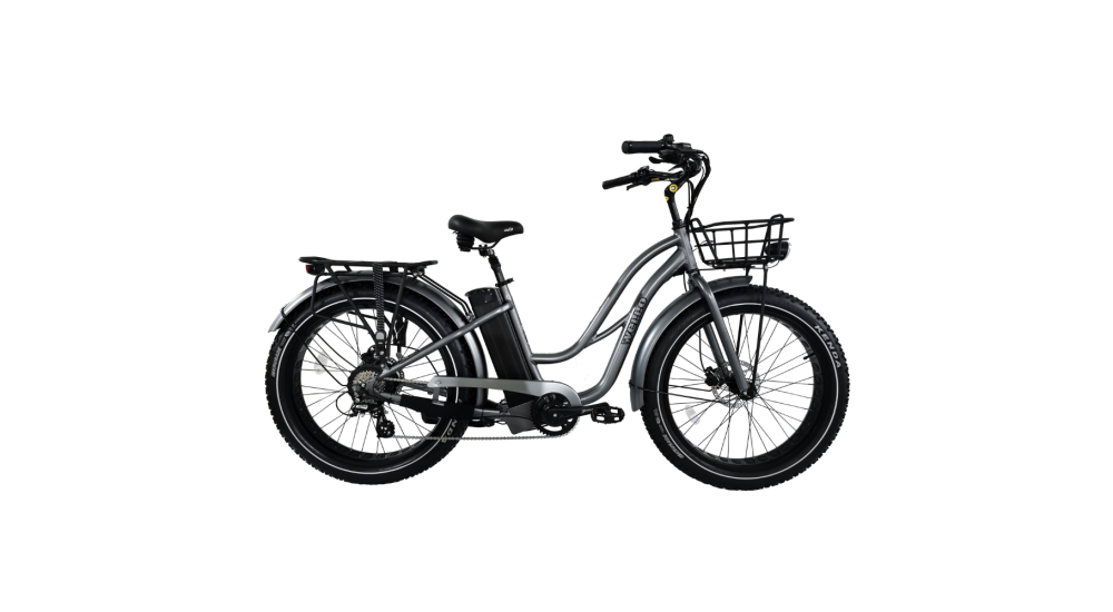 Beach Cruiser Anthracite d'occasion +2000 km